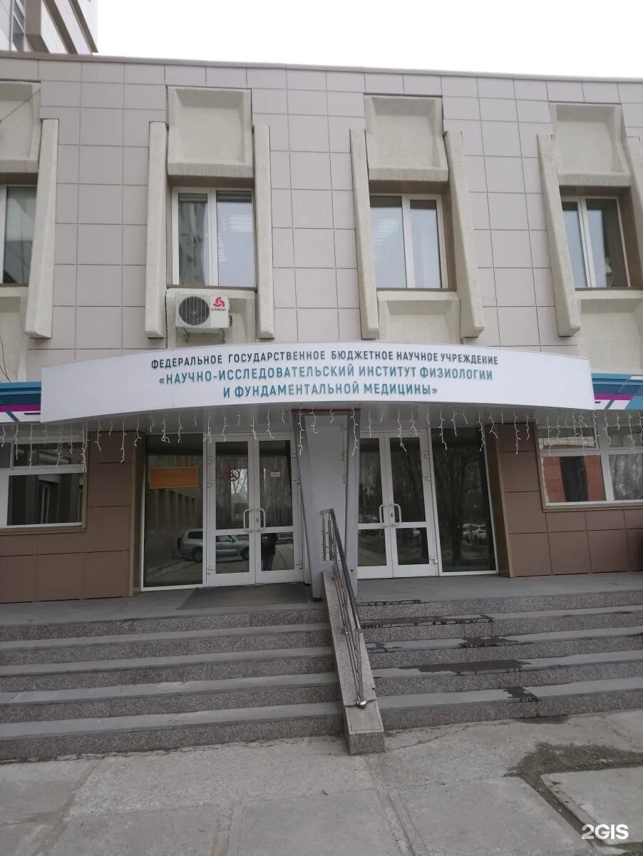 Нии физиологии. Тимакова 4 новосибирск. нии нейронаук и медицины новосибирск. тимакова 2 новосибирск. тимакова 4 новосибирск клиника официальный.