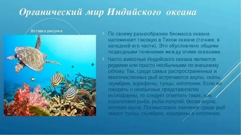 Виды хозяйственной деятельности людей индийского океана