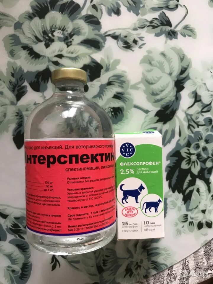 Флексопрофен 2. Флексопрофен Ветеринария. Препарат для животных флексопрофен. Флексопрофен для кошек. Флексопрофен 2,5%.