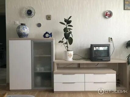 Эльба спб
