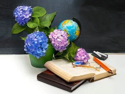 Цветы учителю стихи