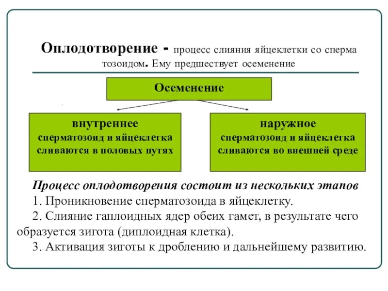 Оплодотворению предшествует процесс. Двойное оплодотворение. Для успешного слияния гамет и образования _______(в) необходима вода.. Для успешного слияния гамет и образования