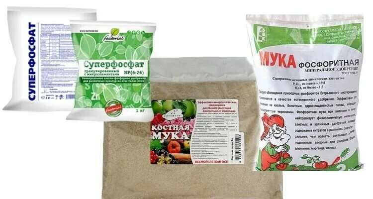 Суперфосфат для огурцов в открытом грунте. Суперфосфат. минеральные удобрения для крыжовника. суперфосфат минеральный или органический. вид удобрения - фосфоритная мука.