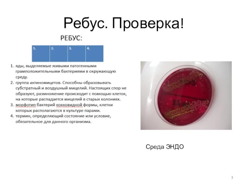 Среда почему пост. Среда Эндо микробиология классификация. Среда Эндо микробиология состав. Среда Эндо происхождение. Среда Эндо состав среды.