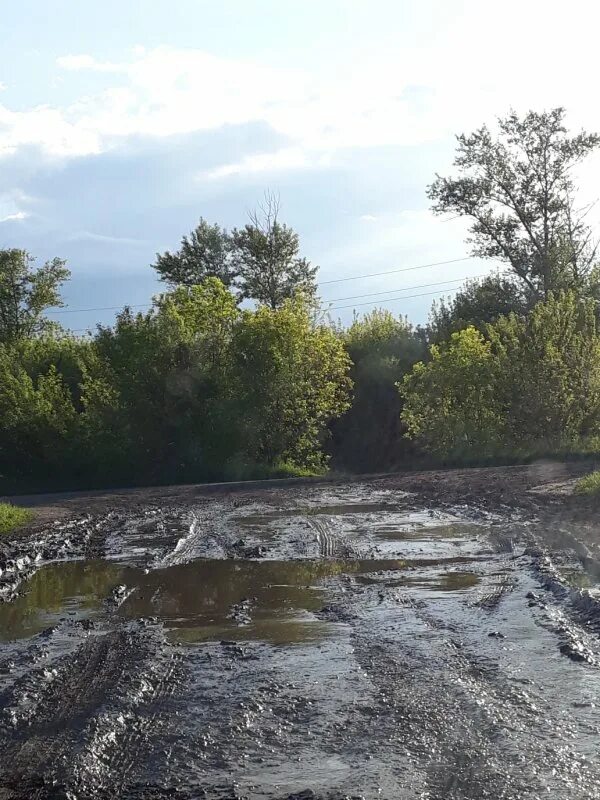 Курская область деревня сельцово. Погода бушмено. Погода бушмено. Погода бушмено. Погода бушмено.