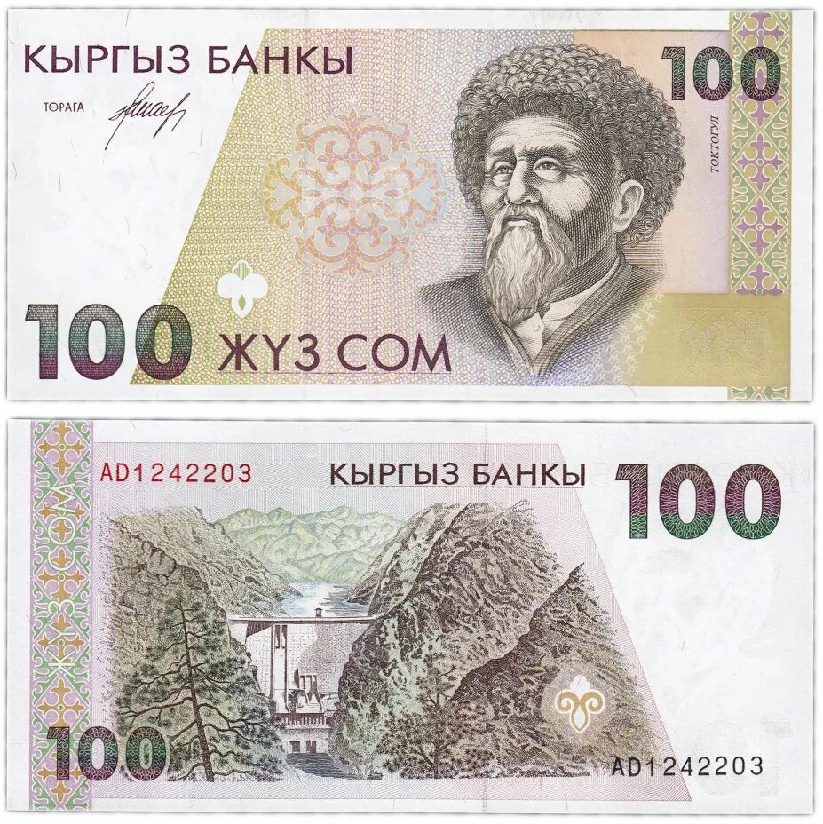 100 сом кыргызстан. 100 сом кыргызстан. Киргизский сом 1995 год. 100 som. 100 som.
