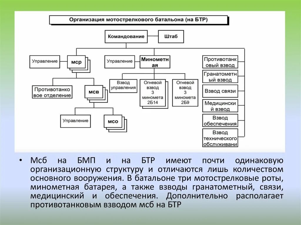 Организационная структура МСБ на БТР. Организационная структура мотострелкового батальона на БТР. Организационно-штатная структура мотострелковой роты на БМП вс РФ. Организационная структура и основное вооружение МСБ на БТР.