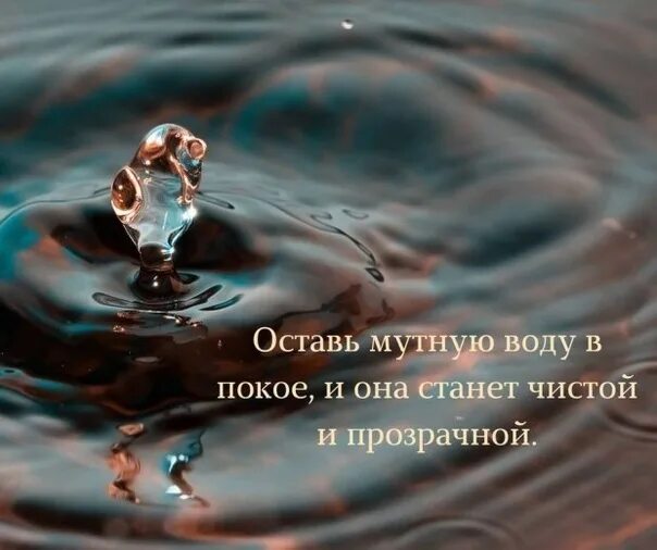 Цитаты про воду. Высказывания о воде. Оставь мутную воду. Цитаты про чистую воду. Песня а жизнь мутная вода