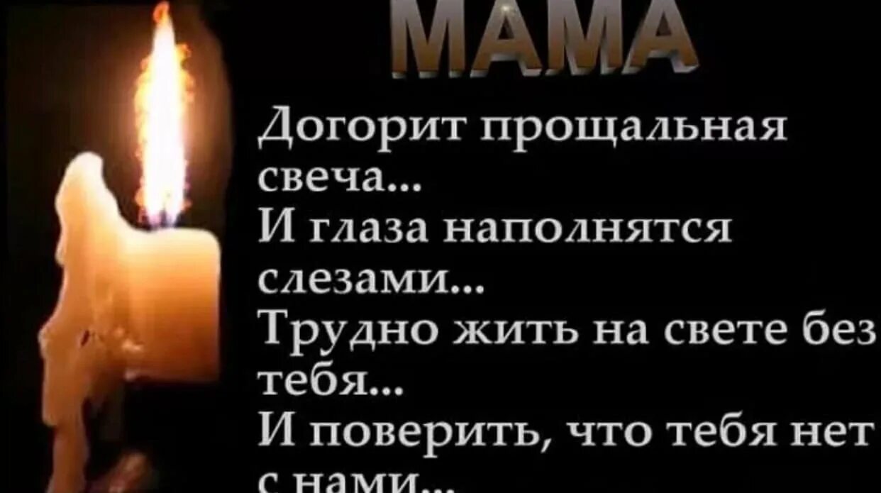 Помню и люблю маму