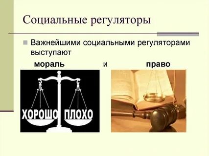 Социальные регуляторы кратко
