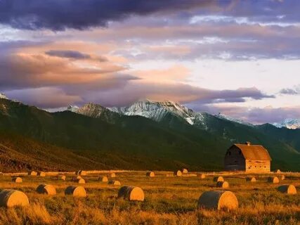 Country full
