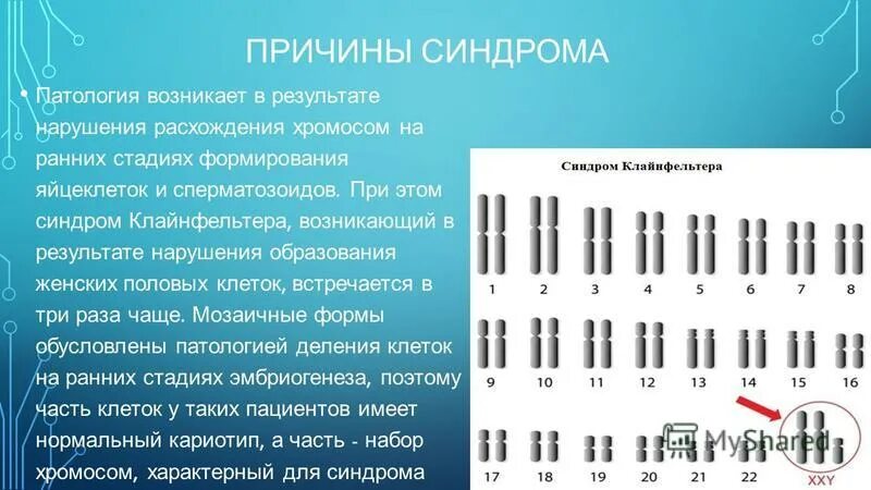 Кариотип человека хромосомы. Как узнать сколько у тебя хромосом. Кариотипы наследственных заболеваний. Хромосомные болезни связанные с изменением структуры хромосом. Как узнать сколько у тебя хромосом.