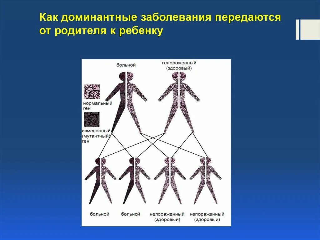 Интеллект ребенка передается от матери. Как наследуется интеллект от отца. Умственные способности передаются от матери. Как наследуется интеллект от родителей к детям. Гены передаются от матери