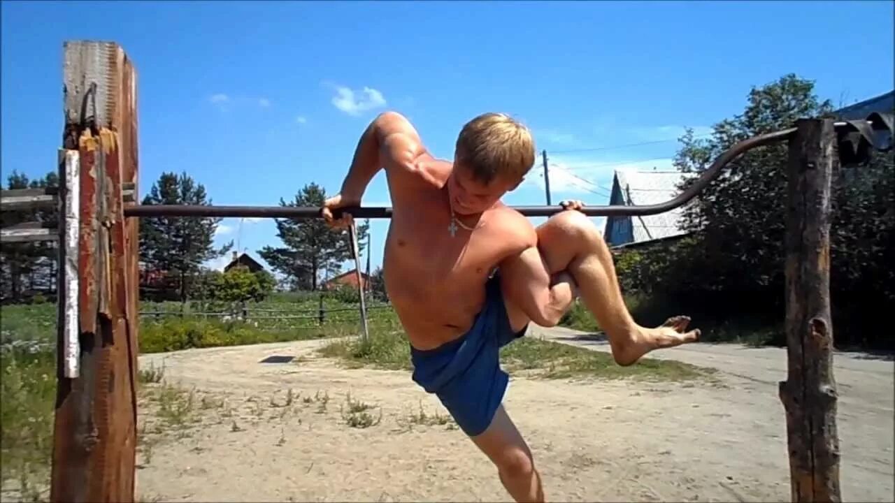 Дикий лось 10 минут