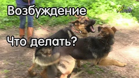 Как возбудиться