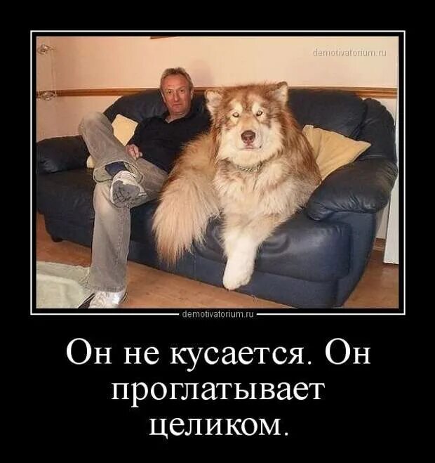 Можно будет ему заходить