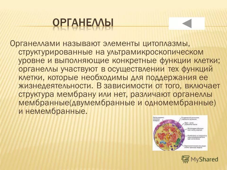 строение и функции органоидов клетки человека. органелы. ядро растительной клетки. - строение растительной клетки (органоиды клетки и их функции);. немембранні органели.