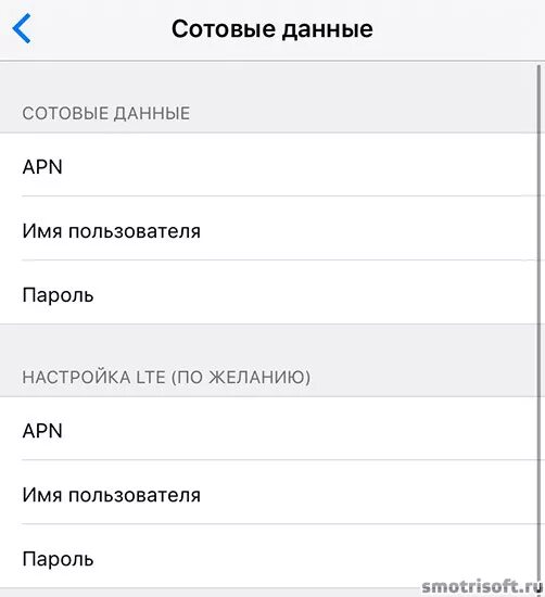 Настройки мтс на айфоне. Carrier iphone режим модема. Что такое apn в настройках режима модема. Имя пользователя в iphone режим модема. Carrier настройка режима модема что это.