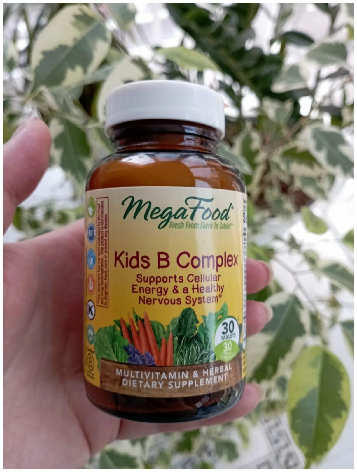 Megafood kids b complex состав. Витамины kids b complex mega food. Мегафудс витамины для детей. Megafood kids b complex. Megafood витамины для детей.
