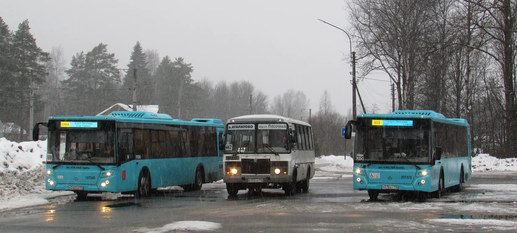 Автобус 109 от метро озерки. Сестрорецк-песочная 315 автобус. Расписание автобуса 315 песочное сестрорецк. 109 автобус. Сестрорецк-песочная 315 автобус.