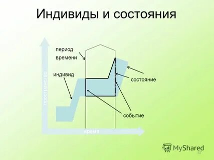 Время индивида