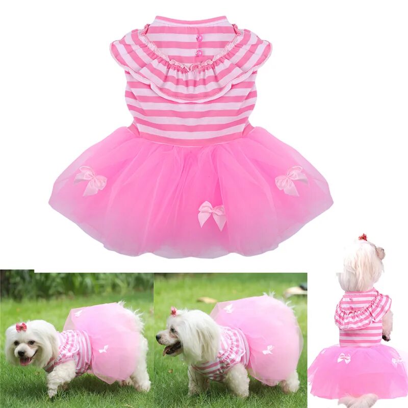Пачка для собак. Платье для собак. Собака в розовом платье. Питомец в платье. Платье пачка для собак.