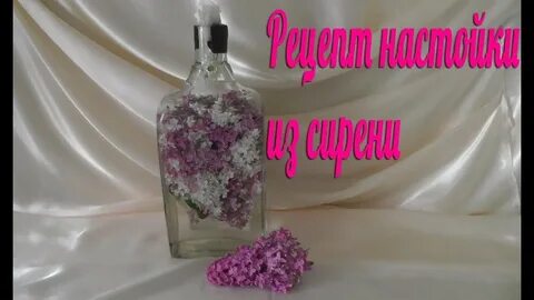 Настойка сирени