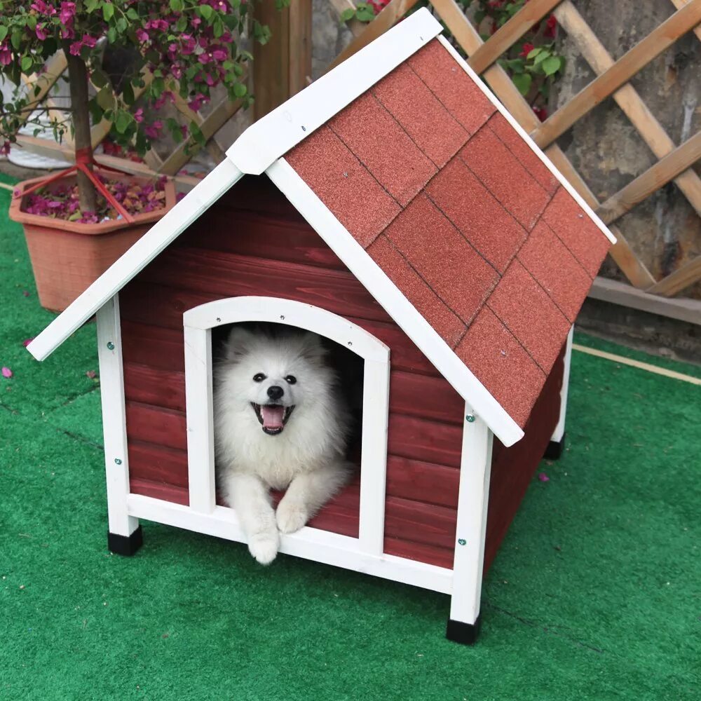 Dog house casino dog houses info. Собачья конура будка. Собачья конура для хаски. Будка для собаки односкатная. Конура для 2 собак.