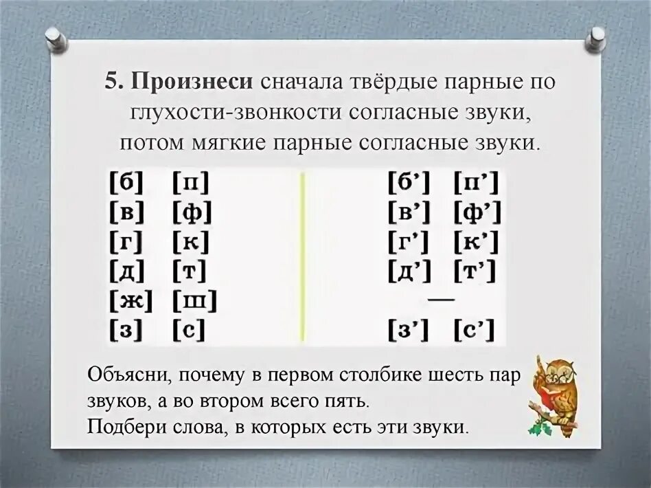 Какие парные по звонкости глухости