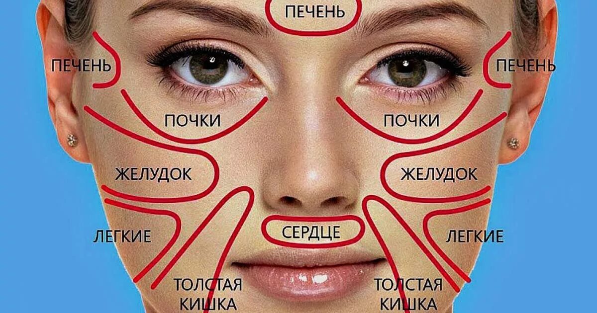 Проблемные зоны лица и органы. Прыщи на лице причины по зонам у женщин. Массажная точка между бровей. Зоны высыпания прыщей на лице. Зоны лица названия.
