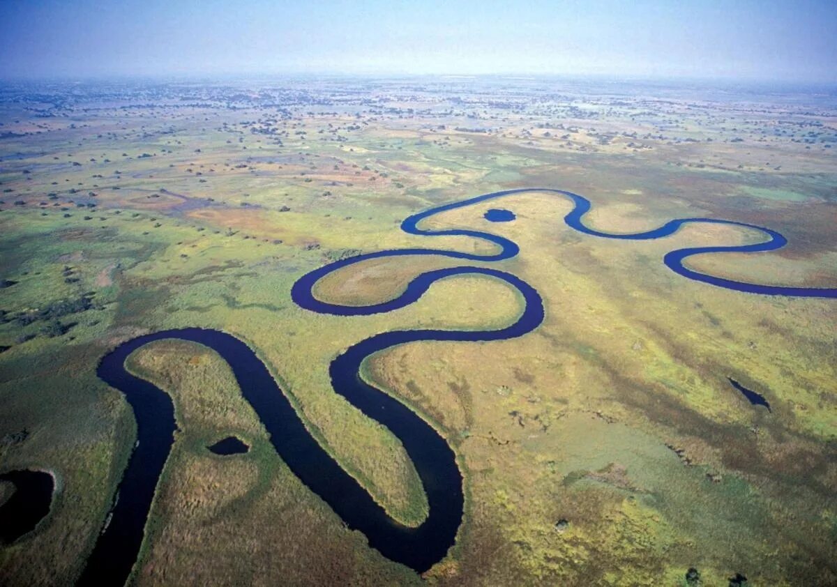 Africa river. Дельта реки Окаванго в Ботсване. Дельта реки Окаванго Африка. Река Окаванго в Калахари. Река Окаванго Ангола.