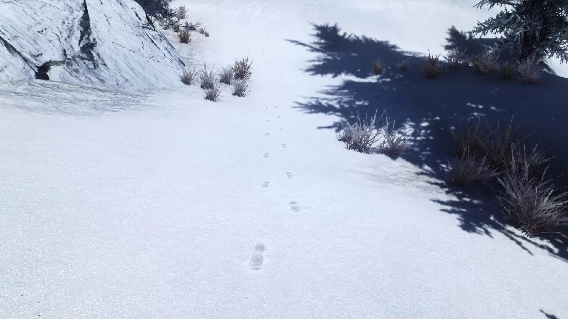 Призрачный след. Скайрим footprints. следы на снегу. следы. следы на снегу игра.