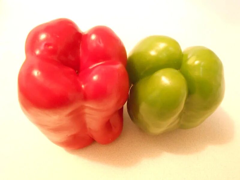 Bell Pepper boiled. Bell Pepper Scalled. Sanay Bell Pepper Страна. Peppers перламутровые