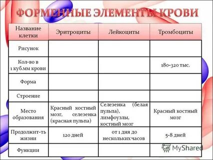 Функции плазма эритроциты лейкоциты тромбоциты