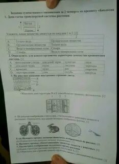 Сочи естествознание 2 класс 2 четверть