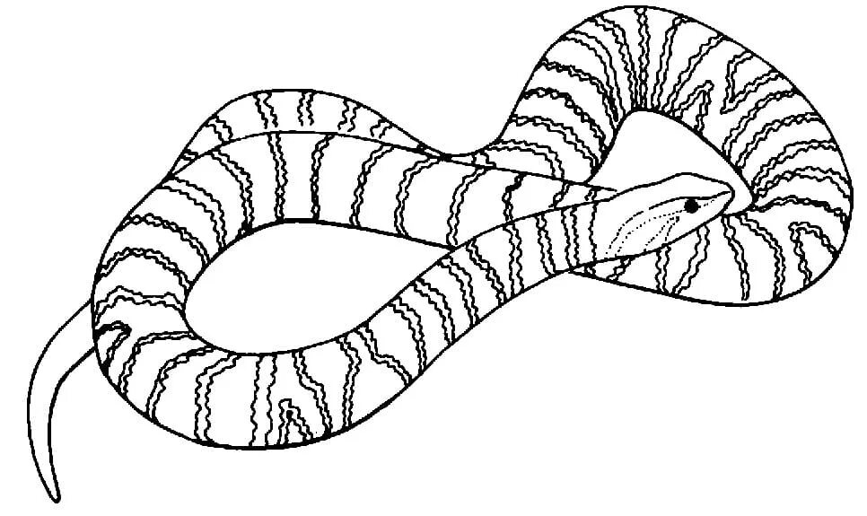 Раскраски змей распечатать. Змея раскраска. Раскраски змей. Раскраска змеи для детей. Змея раскраска для детей.