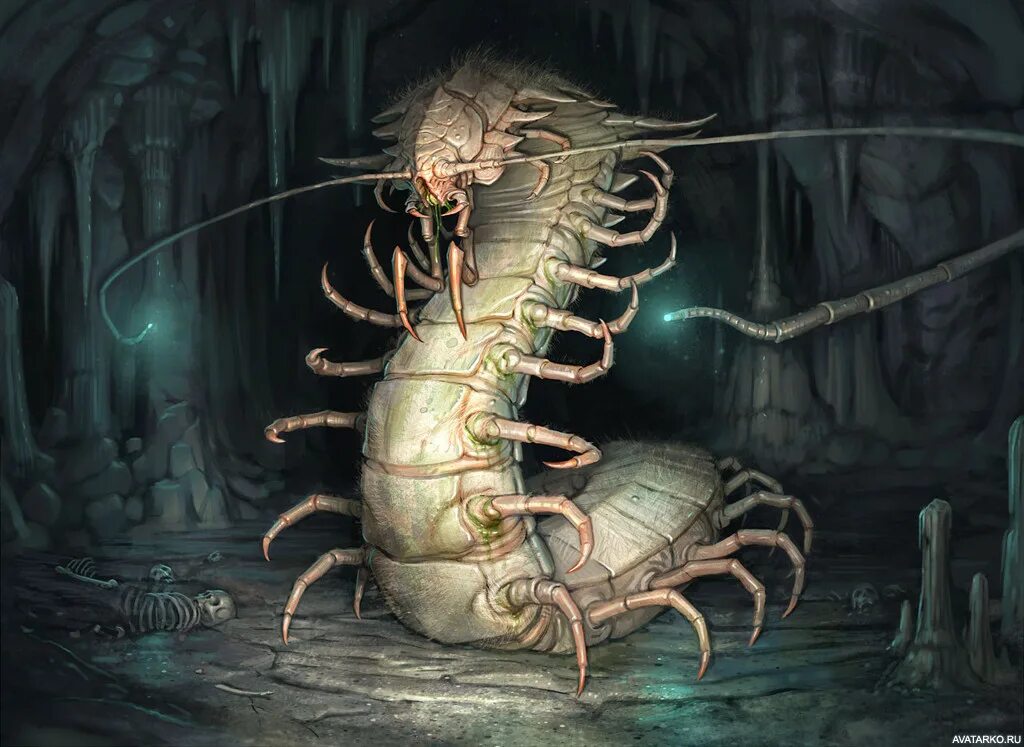 Отидж днд 5е. Гигантские монстры. Сколопендра и 40 ножка. Ползучая тварь. Гриндтолу гарри поттер.