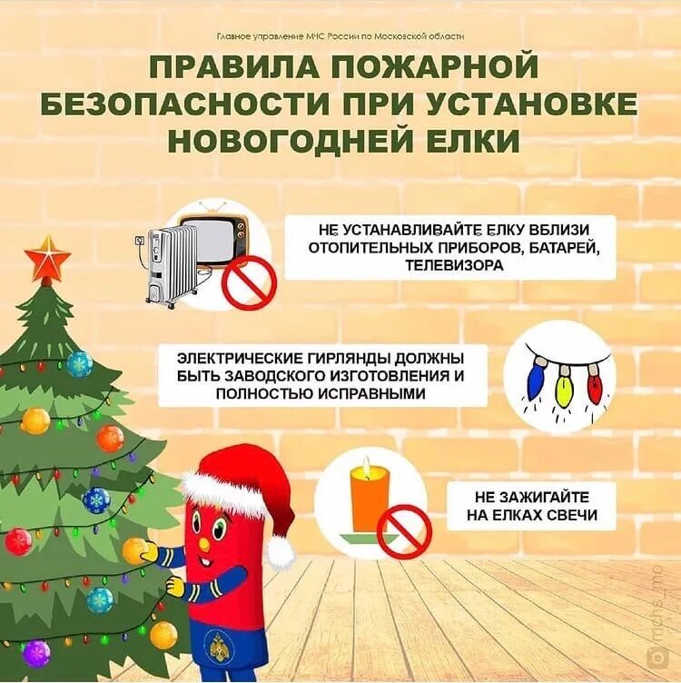 Какого числа устанавливать елку