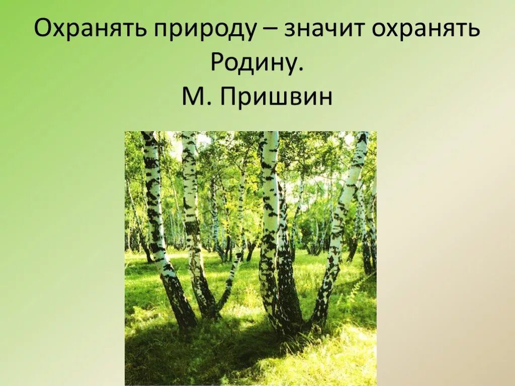 Пришвин родина презентация. Проект о природе. Проект на тему природа. Природа для презентации. Литературное чтение проект природа и мы.