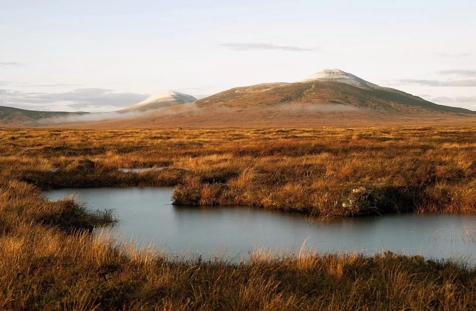 Scotland nature reserves. Капланкырский заповедник. Природный заповедник де-хуп. Эребунийский заповедник. Бирмингем заповедник.