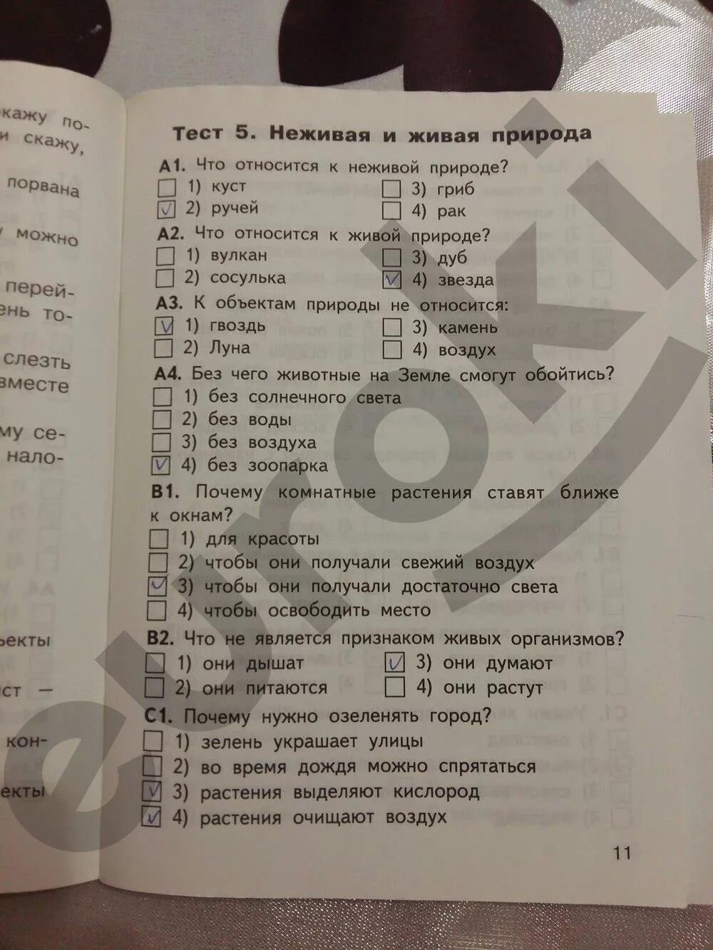 Яценко окружающий мир 2 класс контрольно-измерительные материалы. Окружающий мир контрольно измерительные материалы Яценко. Контрольно-измерительные материалы окружающий мир 2 класс ФГОС.