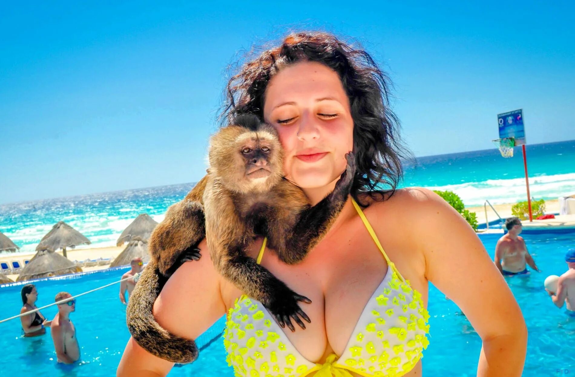 Укус свиньи на багамах. Видеоролики приколы с девушками. Красивые девушки на рыбалке. Красивые девушки на рыбалке. Youtube приколы видео.