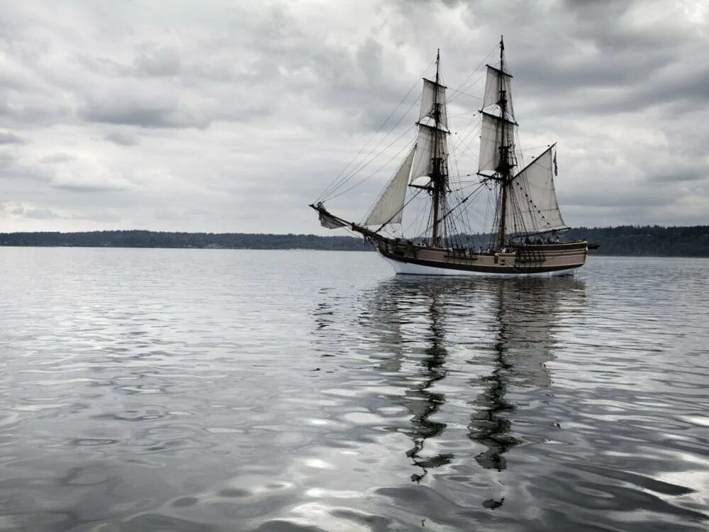 Sea Cloud II Ship Stats & Information- Sea Cloud Cruises Sea Cloud II Cruises: T