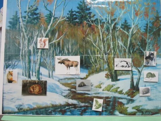 Животные весной средняя группа. Картина для средней группы зимние звери. Дидактическое пособие Дикие животные. Дикие животные и птицы весной средняя группа.