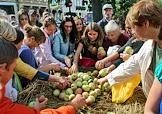 Раздача apple. Раздача яблок. раздавать яблоки. мастер класс с яблоками на массовых мероприятиях. дети раздают яблоки.