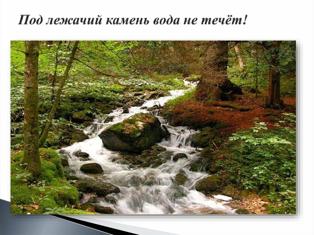 Под лежачий камень вода не течёт. Вода течет под лежачий камень. Пословица под лежачий камень вода. Под лежачий камень вода не течёт иллюстрация.