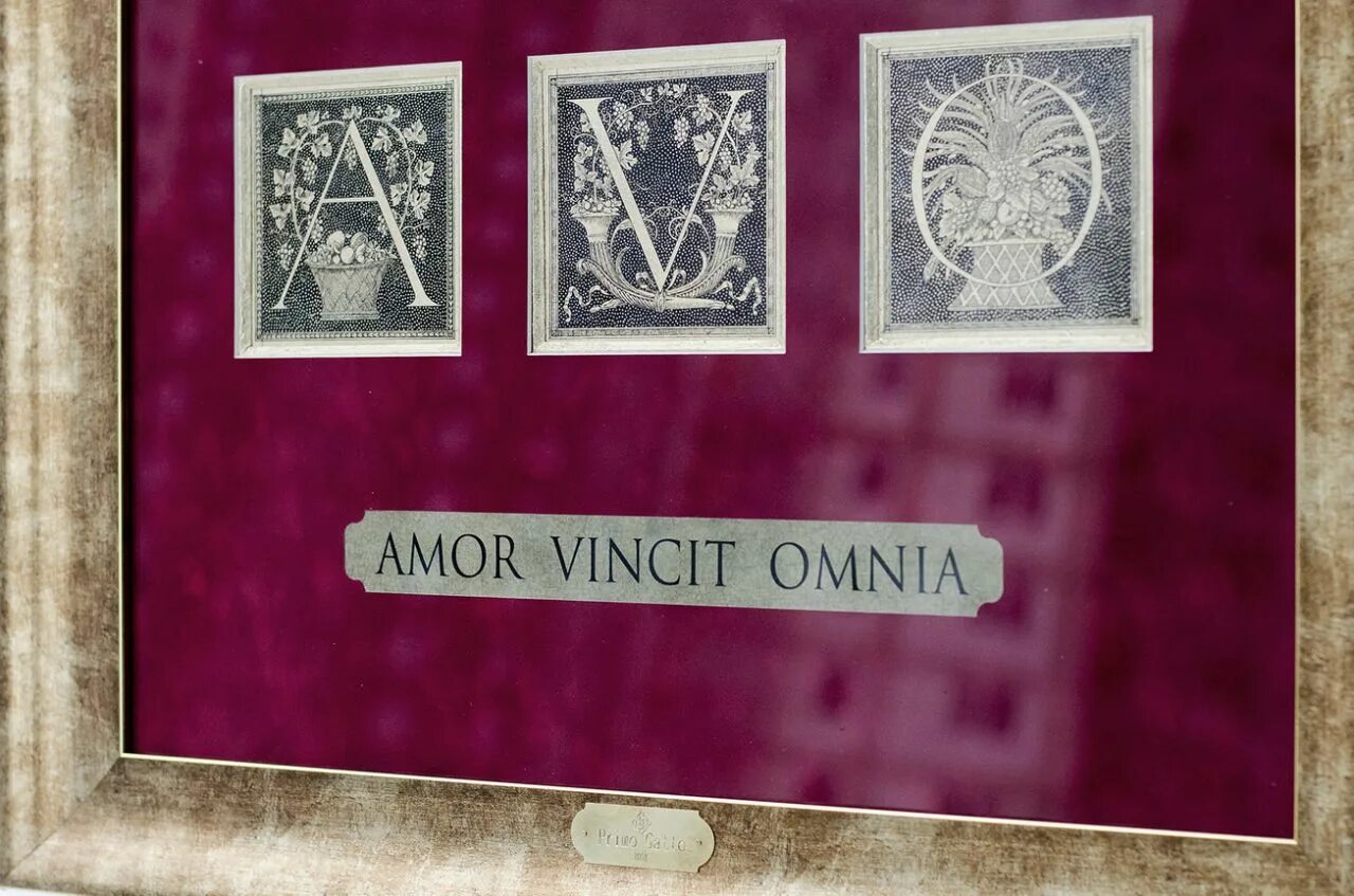 тату надписи на латыни. Omnia quae volo adipiscar тату. тату на латыни omnia. Omnia перевод с латыни. Omnia перевод с латыни.