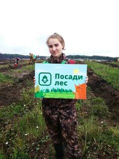 Лесное дело отзывы