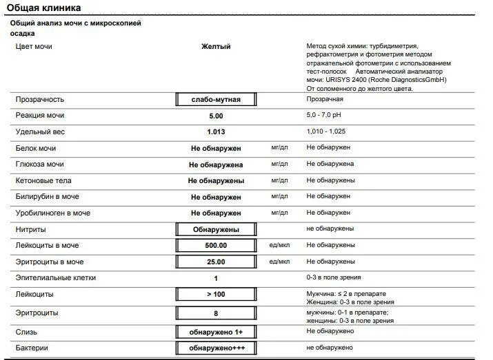 Моча ребенок лейкоциты эритроциты повышенные