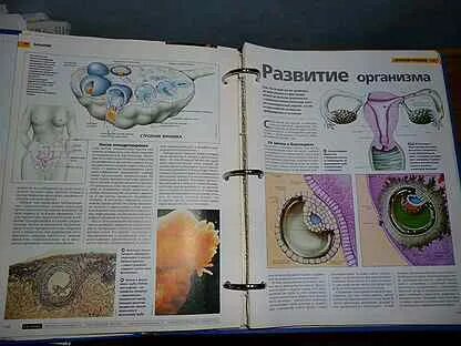 Сайт журнал познание